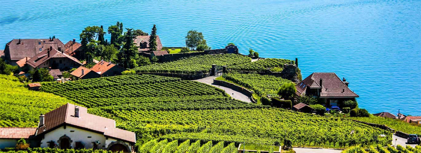 Lausanne and Lavaux